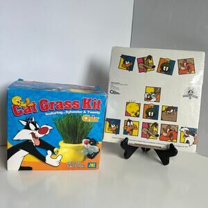 Looney Tunes Tweety Chia Planter Ceramic w Box + Vintage Shipping Box